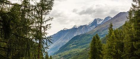 belle tournée d'exploration à travers les montagnes en suisse. photo