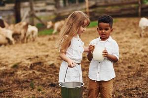 tenant du lait. mignon petit garçon afro-américain avec une fille européenne est à la ferme avec des chèvres photo