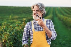 fumer et prendre soin de la récolte. portrait d'un homme senior élégant aux cheveux gris et à la barbe sur le terrain agricole photo