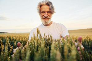 regarde la récolte fraîche. Senior homme élégant aux cheveux gris et barbe sur le terrain agricole photo