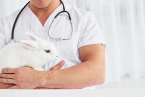 le jeune vétérinaire est à l'intérieur avec un petit lapin. conception des soins de santé photo