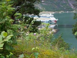 dans les fjords norvégiens photo