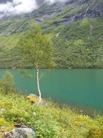 beaux fjords de norvège photo