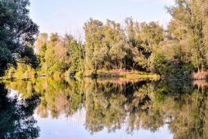 vue panoramique sur le lac photo