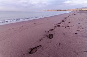 belle vue sur la plage photo