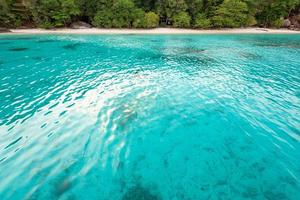 Honeymoon Bay and Beach à Similan Island, Thaïlande photo