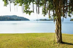 pelouses aménagées pour les loisirs sur un lac kaeng kra chan photo