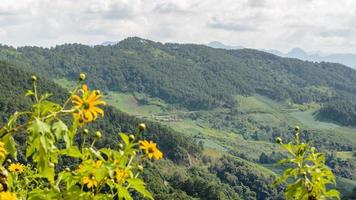 paysage de haute montagne à doi mae u ko photo