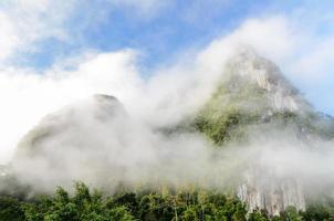 hautes montagnes luxuriantes couvertes de brume photo