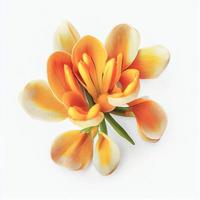 vue de dessus une fleur de freesia isolée sur fond blanc, utilisable sur les cartes de la saint-valentin photo