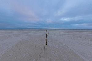 vue sur la large plage de sable de vejers au danemark dans la lumière du soir photo