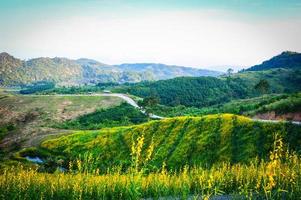 beau paysage champ jaune et vert sur fond de montagne colline photo