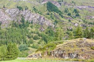 belle tournée d'exploration à travers les montagnes en suisse. photo