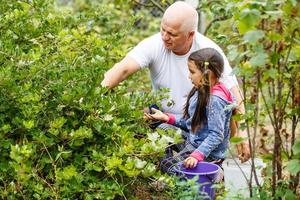 grand-père petite-fille jardin photo