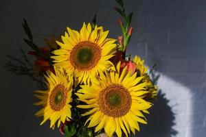 nature morte aux tournesols. photo