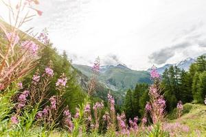 matin à la montagne, montagnes avec des nuages après la pluie photo