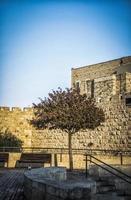 un arbre isolé sur fond de murs de la ville de jérusalem photo