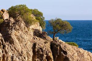 vue sur la côte de la costa brava photo