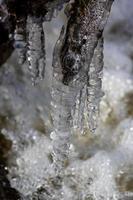 glaçons dans une petite rivière forestière photo