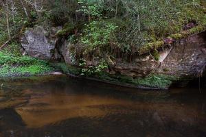 un petit ruisseau forestier avec des falaises de grès et des pierres photo