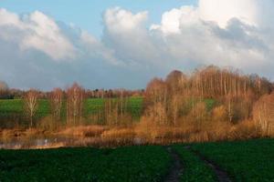 paysages naturels d'automne en lettonie photo