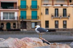 vues d'une petite ville du sud de la france photo