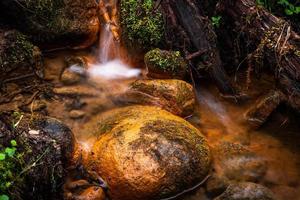 un petit ruisseau forestier avec des falaises de grès et des pierres photo