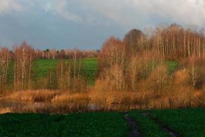 paysages naturels d'automne en lettonie photo