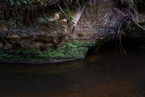 un petit ruisseau forestier avec des falaises de grès et des pierres photo