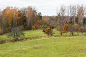 paysages naturels d'automne en lettonie photo