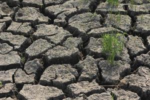 conditions de sécheresse des sols dans les pays asiatiques photo
