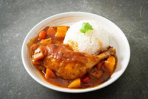 ragoût de poulet aux tomates, oignons, carottes et pommes de terre sur assiette avec riz photo