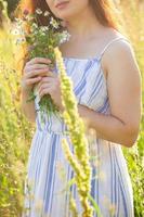 gros plan d'une jeune femme cueillant des fleurs dans le pré en soirée d'été. photo