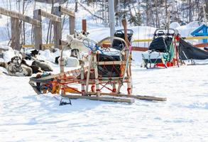 le traîneau utilisé sur le glacier rien homme pour les traîneaux à chiens photo