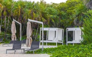 palmiers parasols transats beach resort playa del carmen mexique. photo