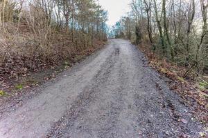 marcher dans les bois un jour de pluie photo