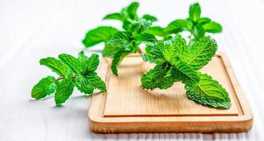 feuille de menthe ou menthe fraîche sur une planche à découper en bois sur fond blanc photo