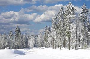 paysage d'hiver à grosser arber mountain dans la forêt bavaroise, allemagne photo