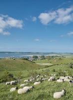 Moenchgut nature reserve,ruegen,mer baltique,Allemagne photo