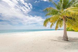 palmier sur la plage, île des maldives. paysage de plage calme, ambiance estivale merveilleuse et concept de voyage. vue sur la mer sans fin avec un ciel bleu photo