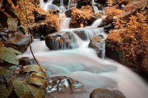 la beauté d'un ruisseau qui coule dans une zone rurale à bali. photo