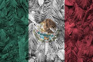 drapeau du mexique représenté sur de nombreuses feuilles de palmiers de monstère. toile de fond à la mode photo
