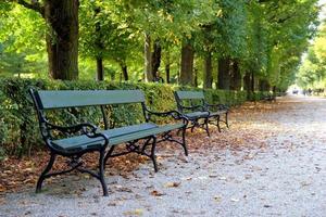 Voyage à Vienne, Autriche. les bancs du parc en journée ensoleillée d'automne. photo