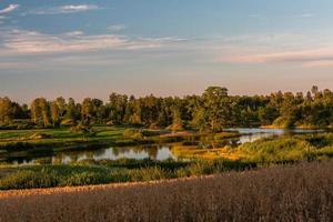 paysages d'été lettons photo