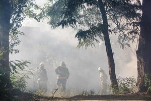 les pompiers éteignent un incendie dans la forêt par une inondation d'eau photo