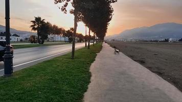 paysage entre une terre vide et une route photo