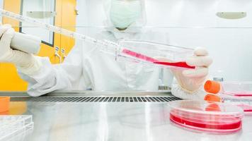 concept de culture biologique de cellules. culture cellulaire à l'enceinte de sécurité, faire une recherche en laboratoire.