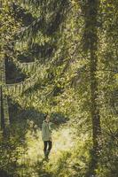 jeune femme marchant le long de la photographie panoramique de bois de sapin ensoleillé photo