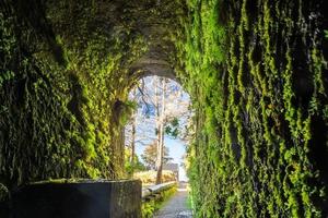 Sortie envahie d'un tunnel de trekking sur l'île portugaise de Madère pendant la journée photo