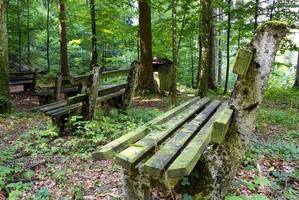 voyage à sankt-wolfgang, autriche. les bancs dans la forêt des montagnes. photo